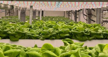 tecnologia na agricultura